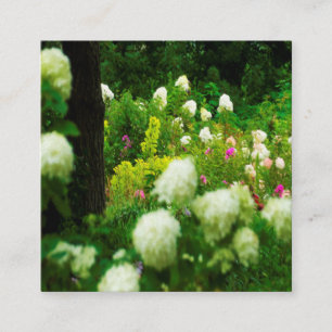 Limelight Hydrangeas in My Rubio Garden Referral Card