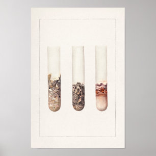 Limes (Citrus Aurantiifolia) Watercolor Painting Poster