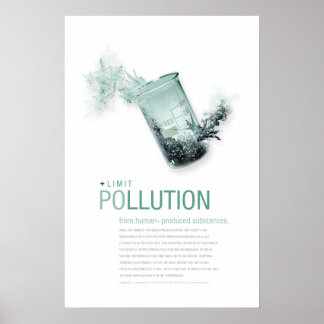 Limit Pollution: Sustainability Principle Posters