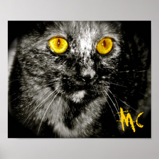 Limited Edition Monkey Cat Canvas Print