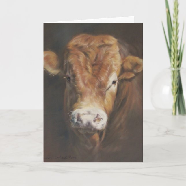 Limousin Bull Card (Front)