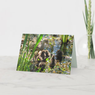 Limpkin Family - Mum and Chicks - Mother's Day  Card
