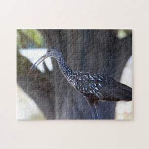Limpkin Jigsaw Puzzle