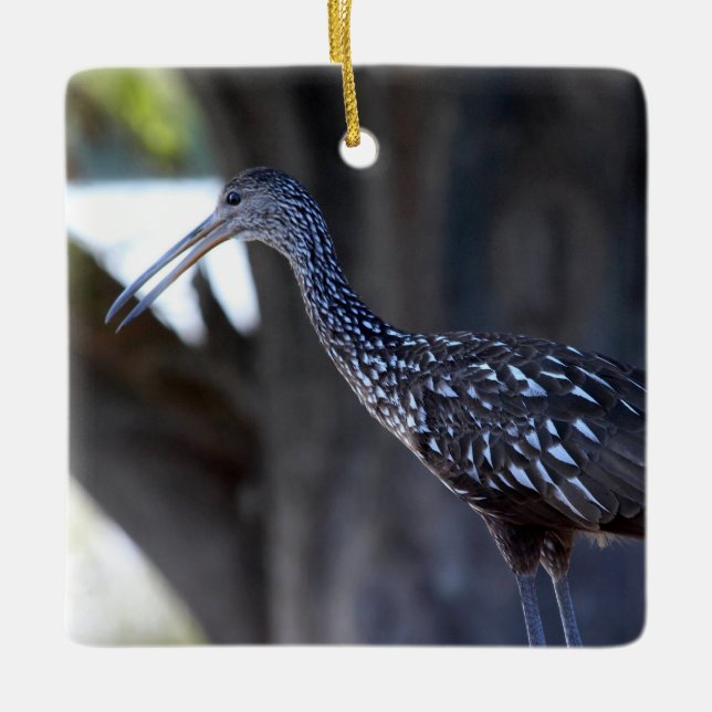 Limpkin, The Crying Bird Ceramic Ornament (Front)