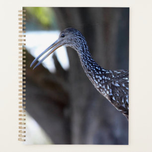 Limpkin, The Crying Bird Planner
