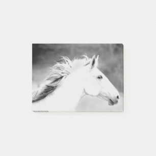 LIN26BW Mane in the Wind.tif Post-it Notes