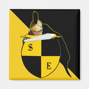 Lincoln high schools knights  magnet