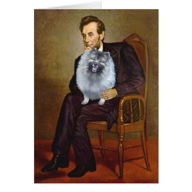 Lincoln - Keeshond (F) (Front)