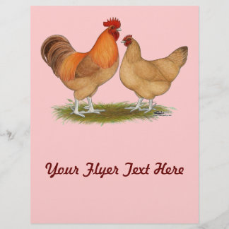 Lincolnshire Buff Chickens Flyer