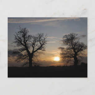 Lincolnshire Sunset Postcard