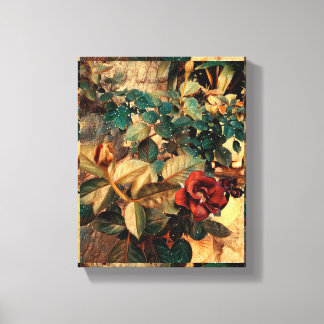 Linda roseira canvas print