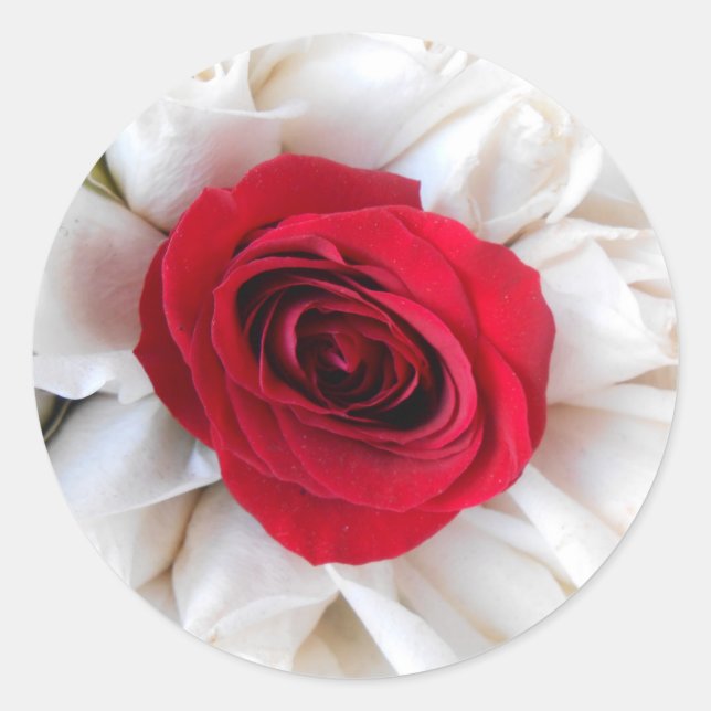 Lindegren Classic Round Sticker (Front)