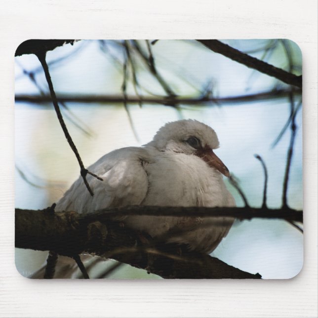 Line Master Mouse Pad (Front)