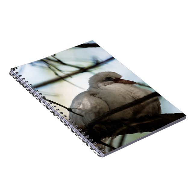 Line Master Spiral Notebook (Right Side)