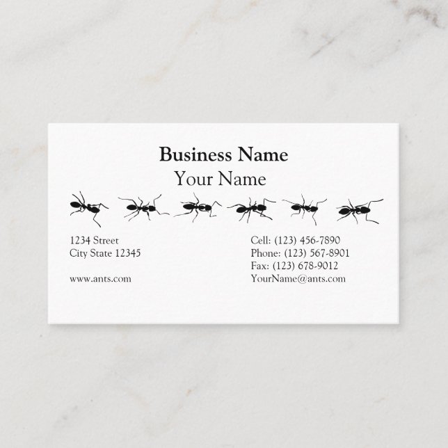 Line of Ants Business Card (Front)