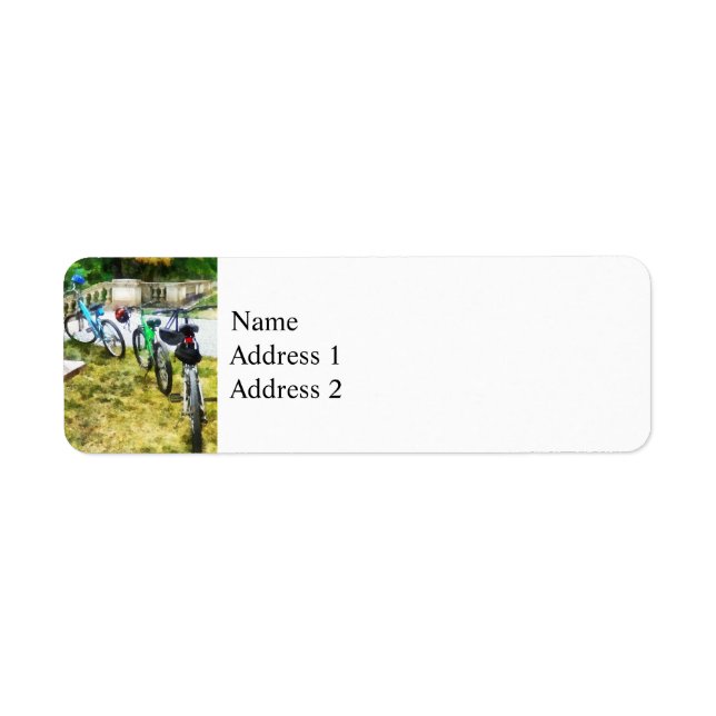 Line of Bicycles in Park (Front)