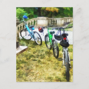 Line of Bicycles in Park Postcard