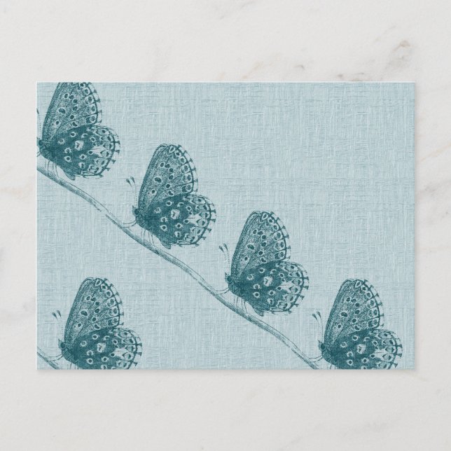 Line of Butterflies Postcard (Front)