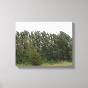 Line of Leaning Trees Landscape Canvas Print