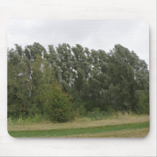 Line of Leaning Trees Landscape Mousepad