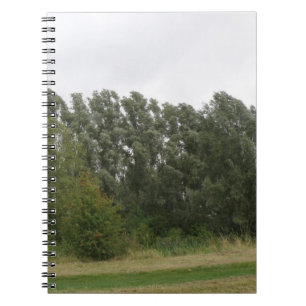 Line of Leaning Trees Landscape Notebook