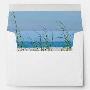 Line Of Sea Oats In White Sand Envelope