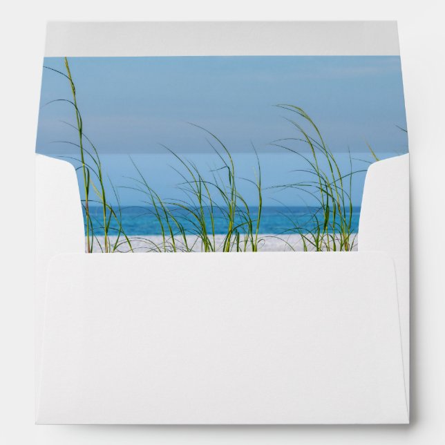 Line Of Sea Oats In White Sand Envelope (Back (Bottom))