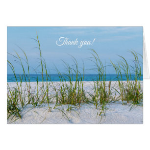 Line of Sea Oats In White Sand Thank you Card