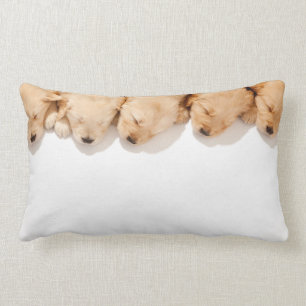 Line of Sleeping Golden Retriever Puppies Lumbar Cushion