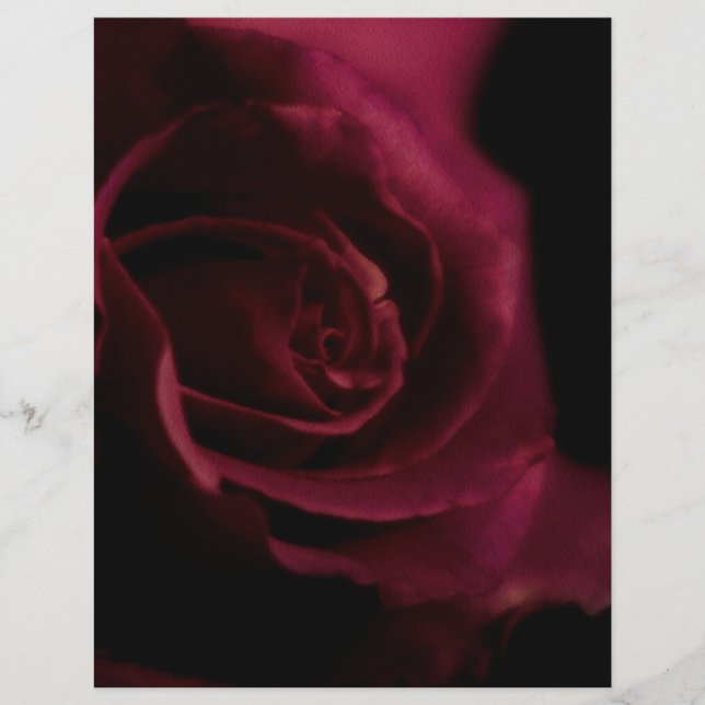 Lined Binder Paper Rose 8.5"x11" Fits Avery Custom (Front)