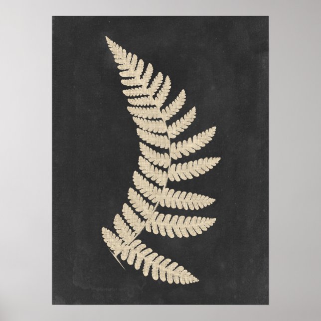 Linen Fern Poster (Front)