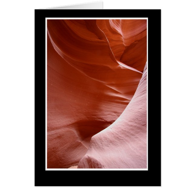 Lines and light in the canyon (Front)