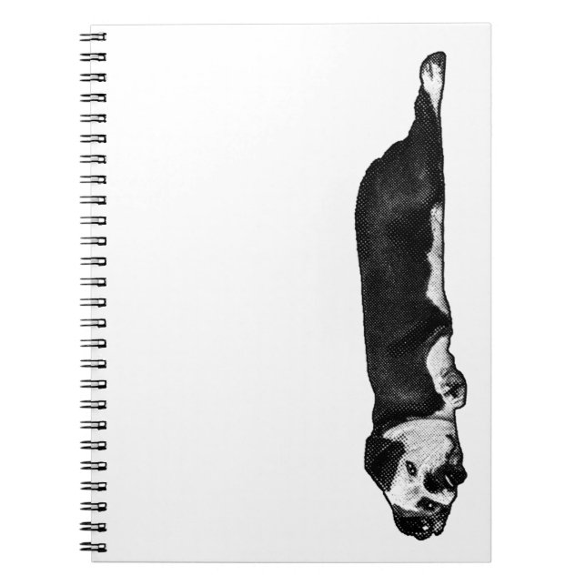 Lines & Lazy Thoughts Notebook (Front)