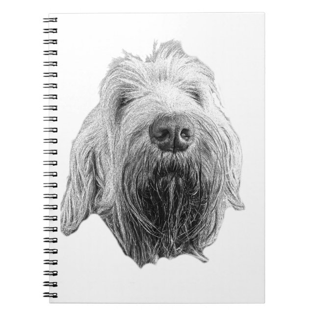 Lines of Patience Notebook (Front)