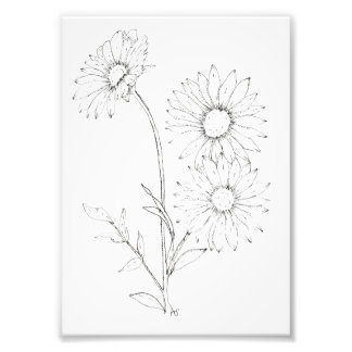 Lines & Petals Photo Print