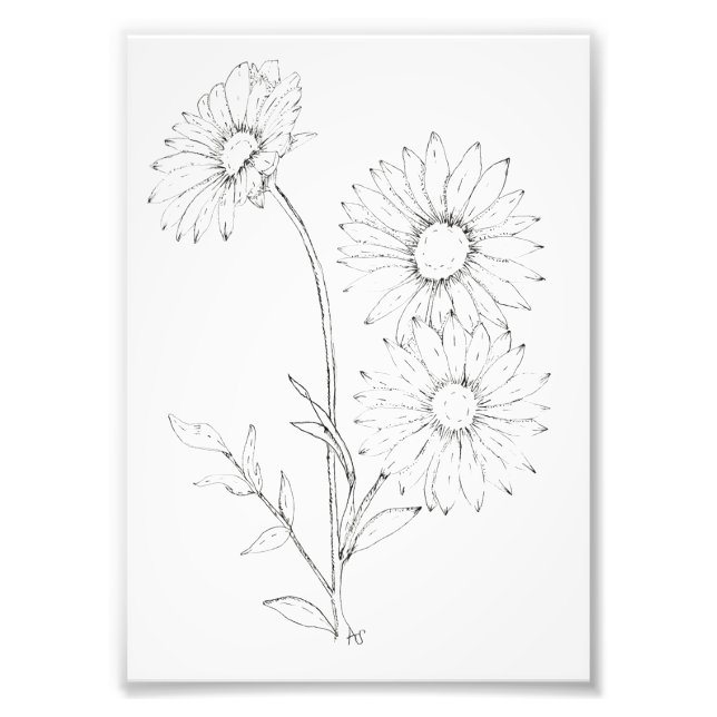 Lines & Petals Photo Print (Front)