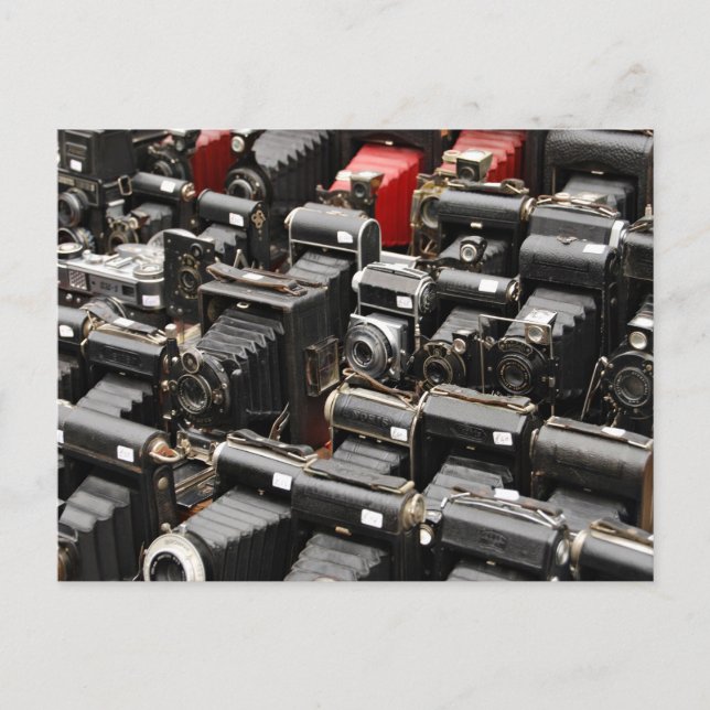 lineup old retro camera postcard (Front)