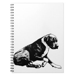 Linework for focus notebook