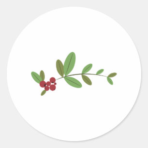 Lingonberries Classic Round Sticker