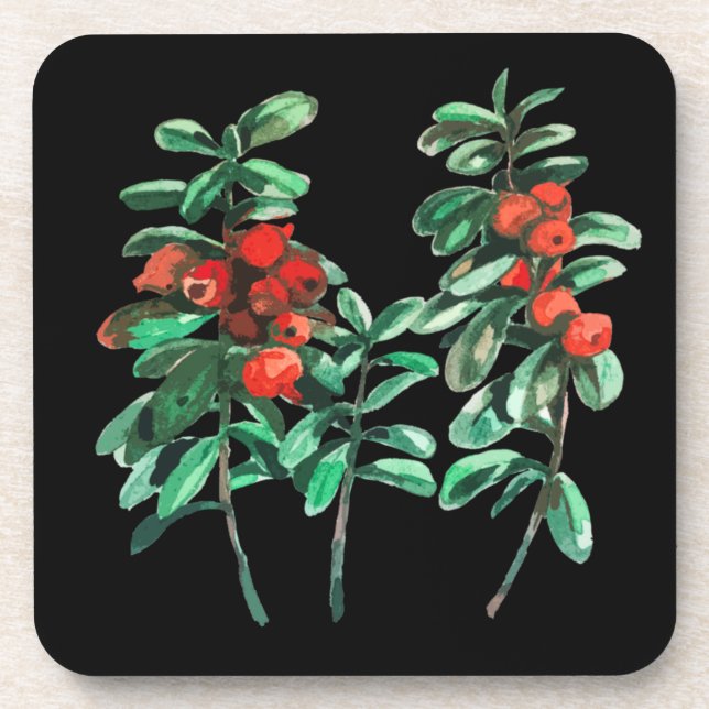 Lingonberry Coaster (Front)