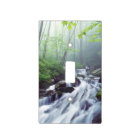 Linn Cove Creek cascading through foggy