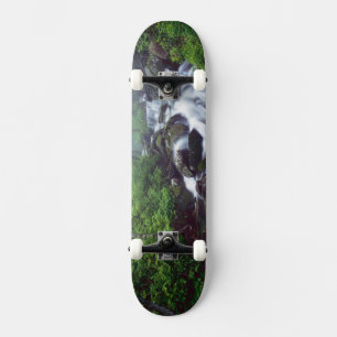 Linn Cove Creek cascading through foggy Skateboard