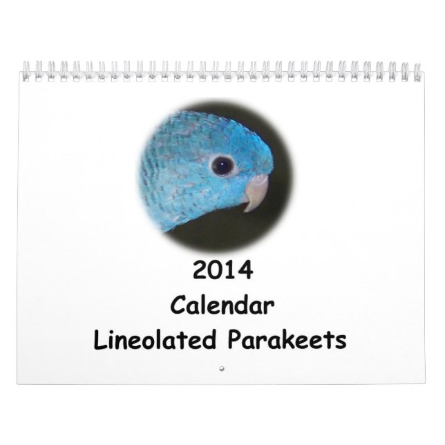 Linnie Parakeet 2014 Calendar (Cover)