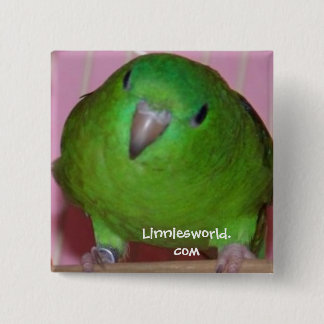 Linnie Parakeet Button