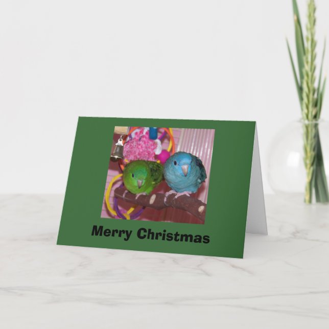 linnies2_sm, Merry Christmas Holiday Card (Front)