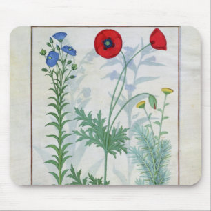 Linum, Garden poppies and Abrotanum Mouse Pad