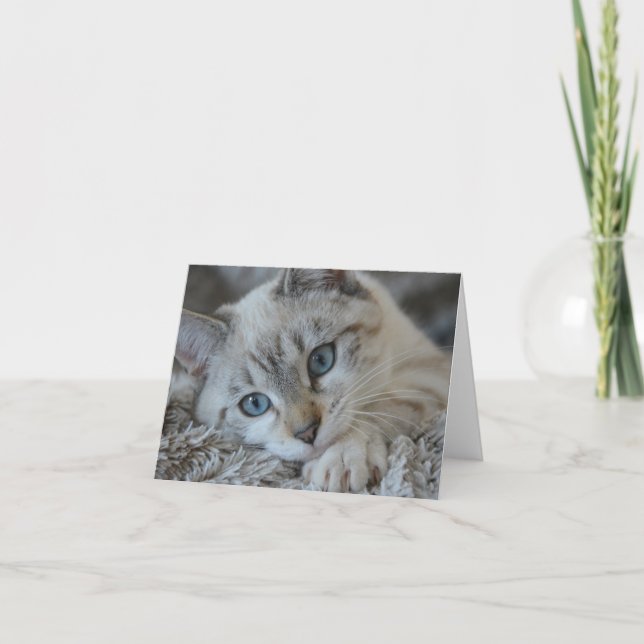 Linx Point Siamese Card (Front)