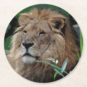 Lion20150805 Round Paper Coaster