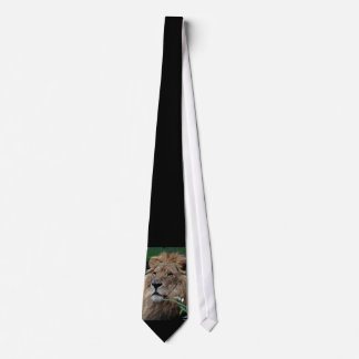 Lion20150805 Tie