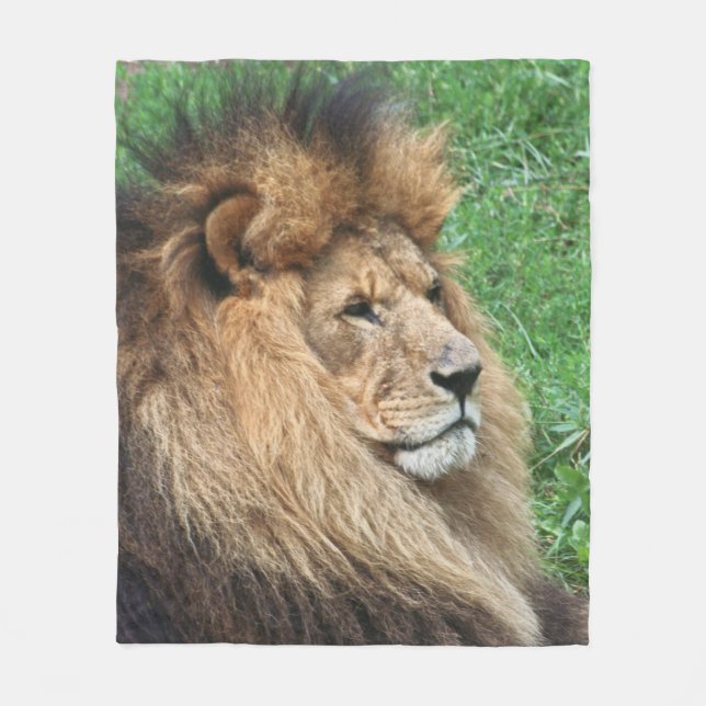 Lion 001 fleece blanket (Front)